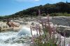 activités gard bord de rivière