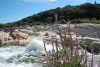 camping bord de rivière Gard