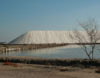 visites salins aigues mortes